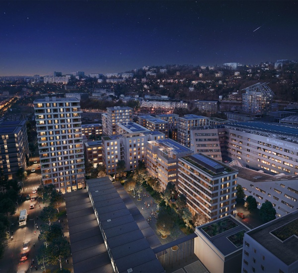 4361_Woodeum_Albizzia_Vue_Aer_Nuit_003